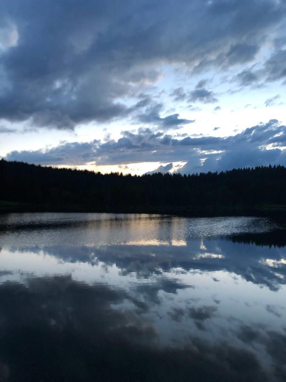 Natur- & Aktivoase Buchenberg  Bagian luar foto