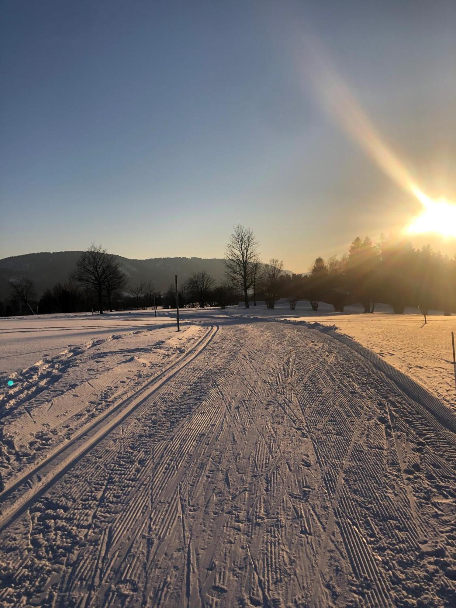 Natur- & Aktivoase Buchenberg  Bagian luar foto