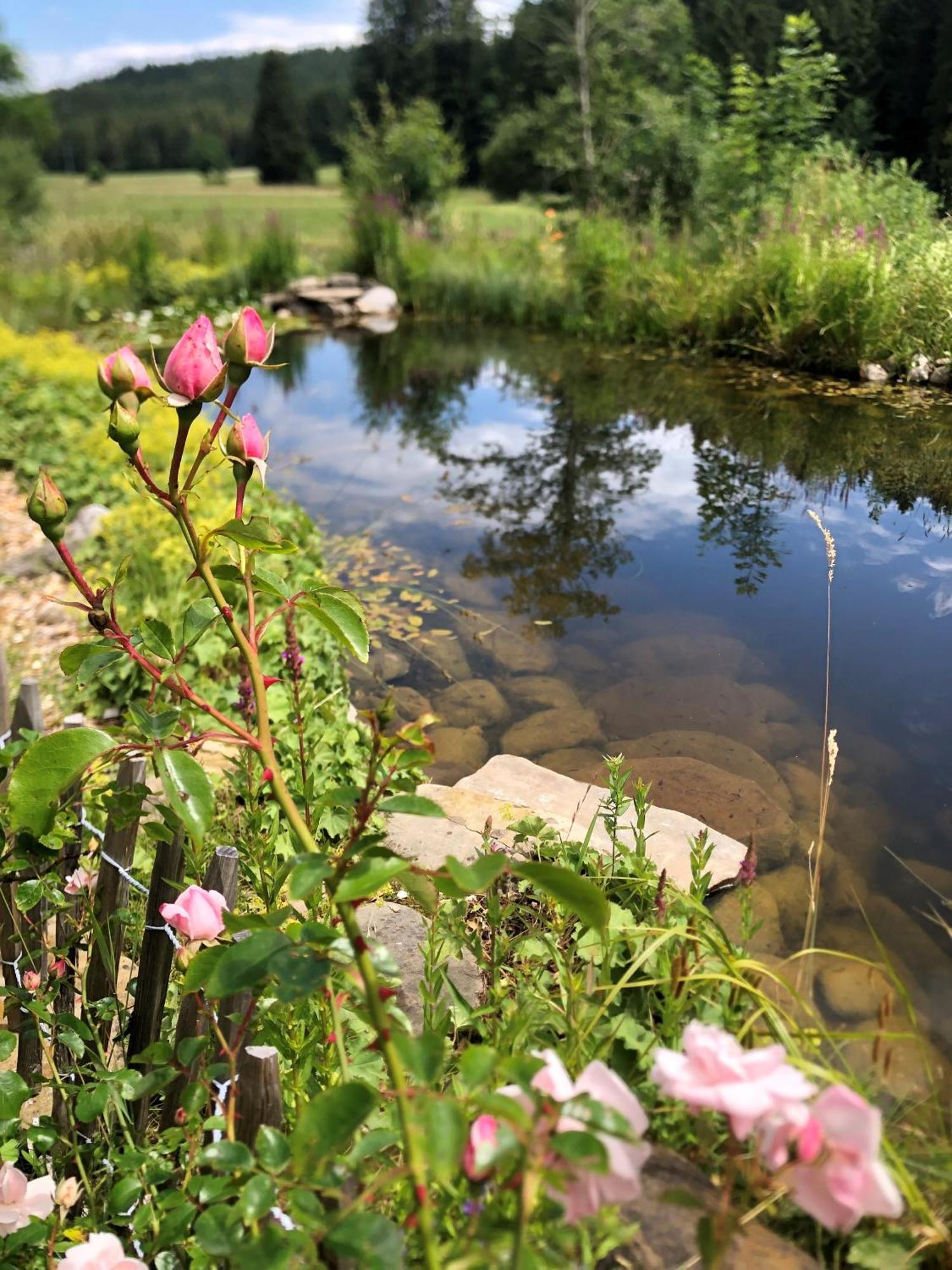 Natur- & Aktivoase Buchenberg  Bagian luar foto
